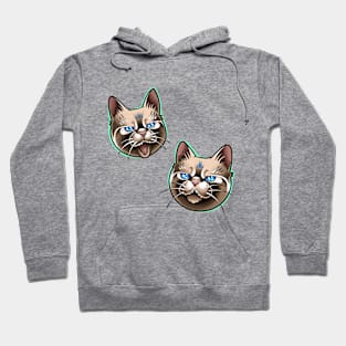 Two funny cat 2 Hoodie